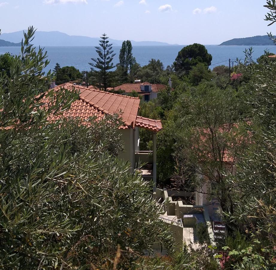 Villa Bloom Achladies  Exterior photo