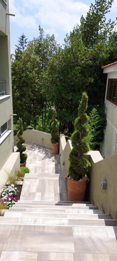 Villa Bloom Achladies  Exterior photo